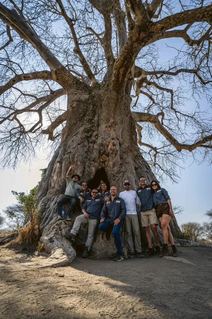 Grupo de personas sentadas junto al tronco de un gran baobab