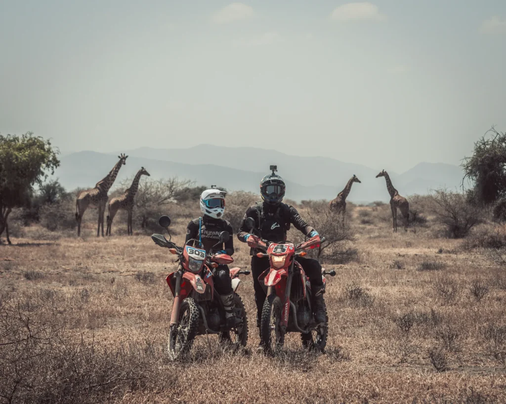 Dos pilotos sobre sus motos en la sabana con jirafas al fondo